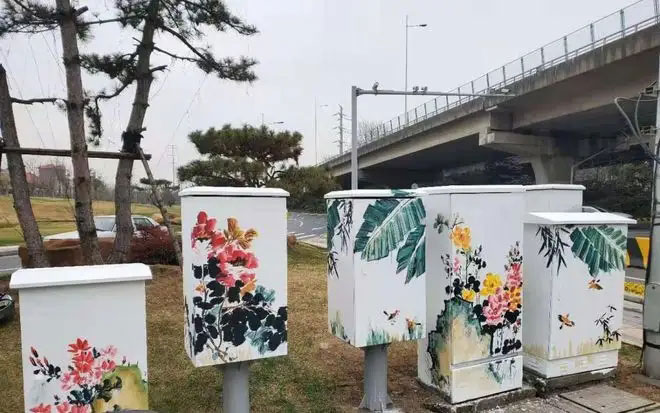 街頭配電箱變身“藝術品”，成為一道靚麗風景線
